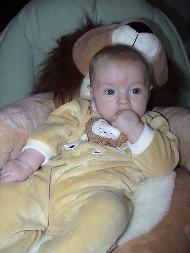 Brock Lion