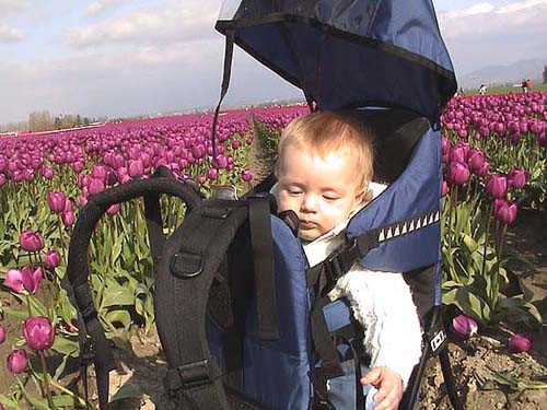 Skagit Valley Tulip Festival Brock
