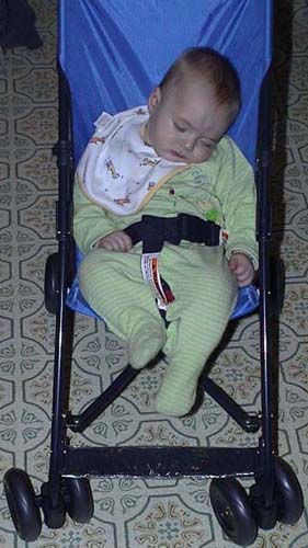 Stroller Brock