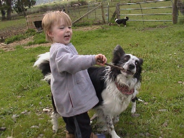 Brock, Cuzco, Whitby