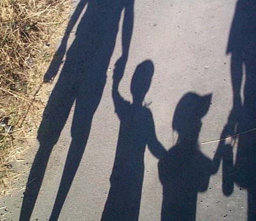 Shadows