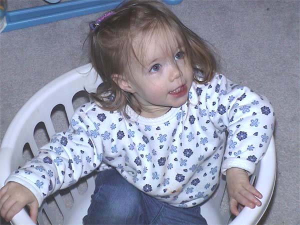 Madison in a Basket