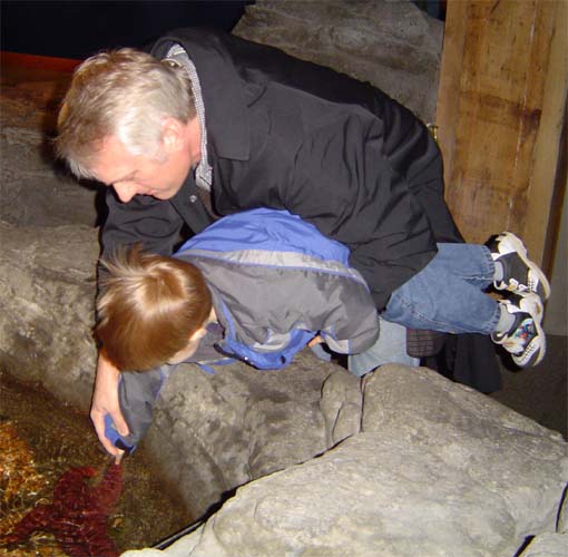 Starfish Brock and Papa
