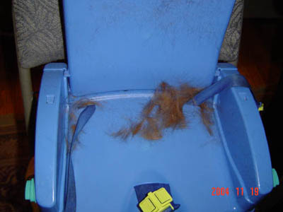 Dane Haircut 05