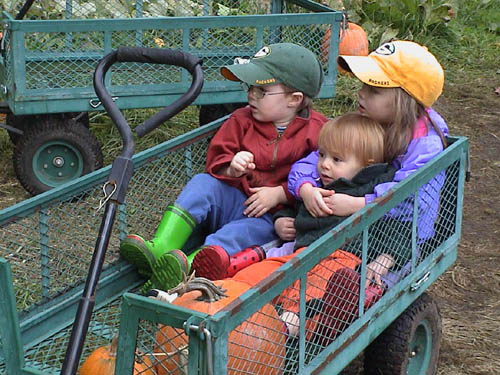 Pumpkin Patch 01