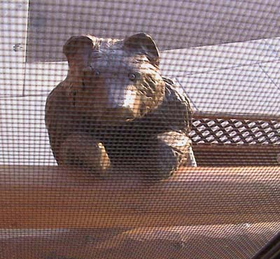 Kelly Inn Bear
