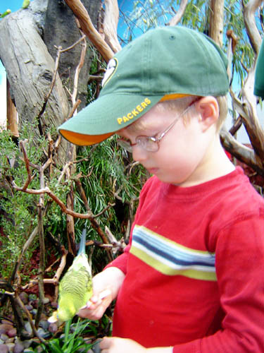 Woodland Park Zoo Bird Brock