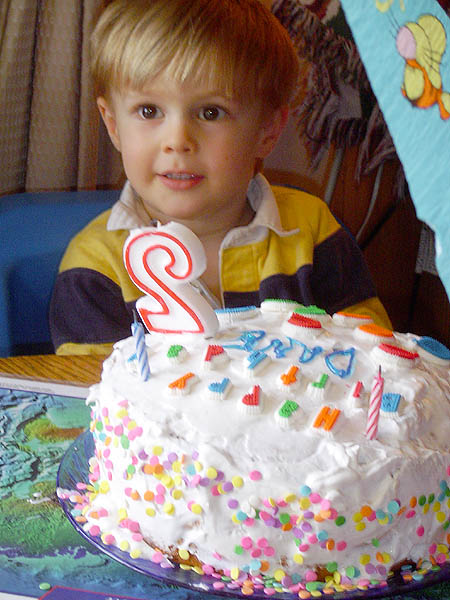 Birthday Cake Dane