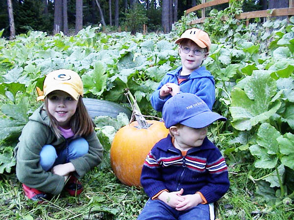Pumpkin Patch G-Pod 01