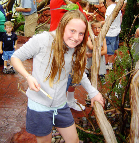 Woodland Park Zoo Bird Kate