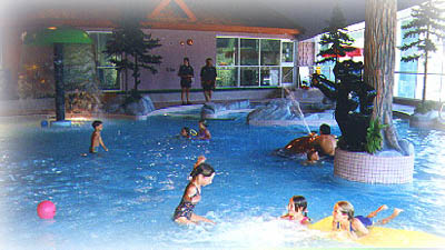 Meadow Park Sports Centre 01