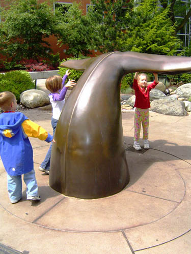 Whale Tail