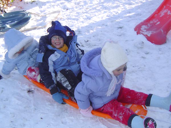 Sled Sofi, Brock, Aliya
