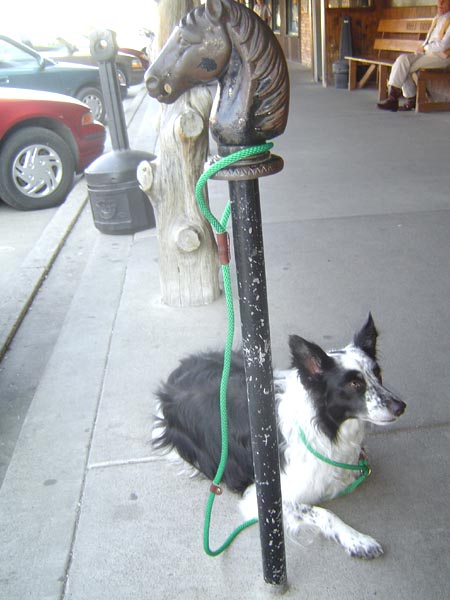 Wall Drug Cuzco