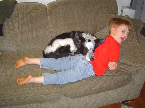 Cuzco and Dane