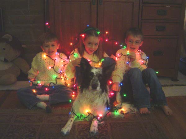 Xmas Lights G-Pod