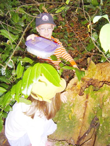 Letterboxing 01