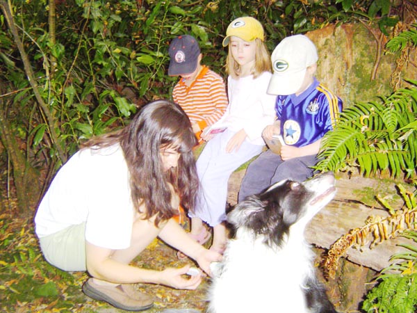 Letterboxing 02