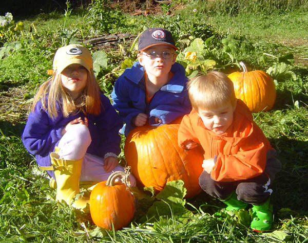 Pumpkin Patch 04