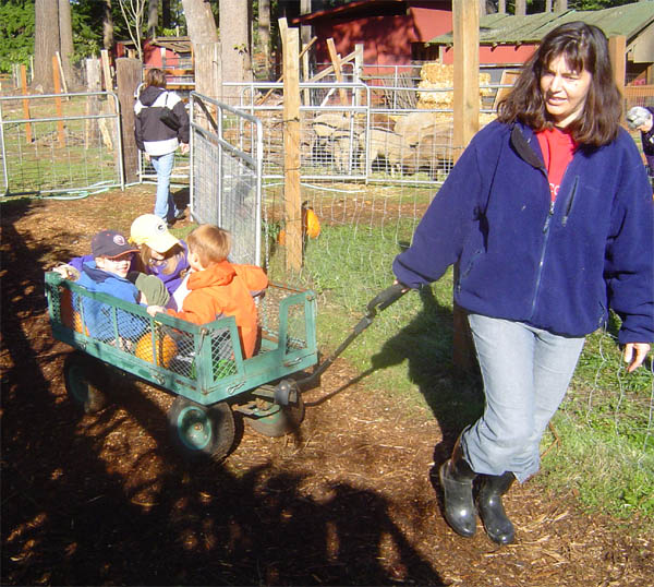 Pumpkin Patch 02