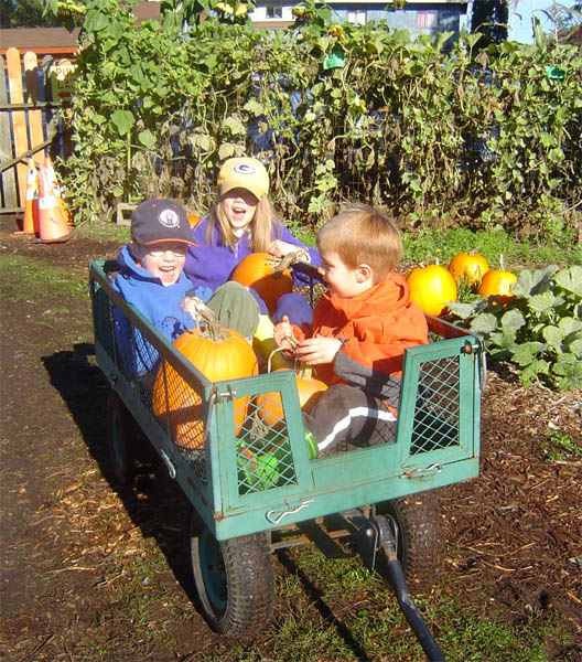 Pumpkin Patch 01