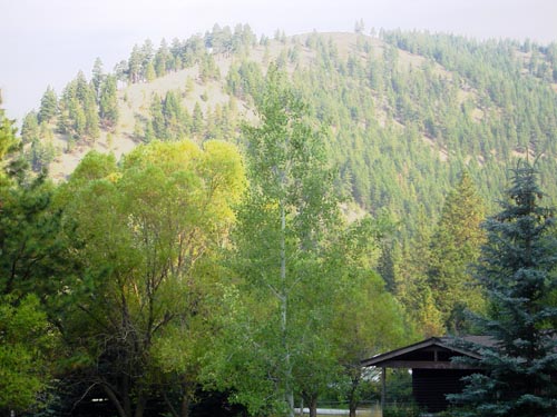 Missoula