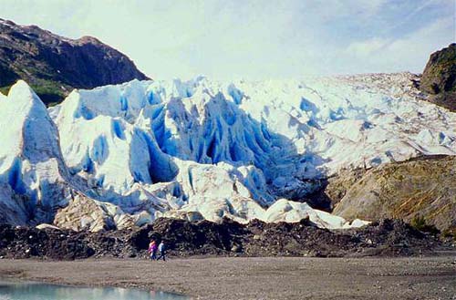 Exit Glacier