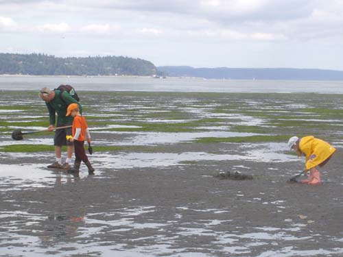 Jetty Island 03
