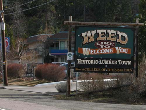 Weed, CA