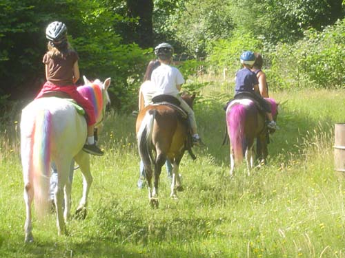 Pony Rides G-Pod