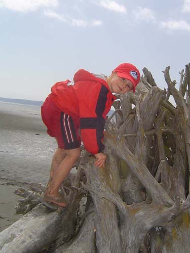 Jetty Island Dane 01