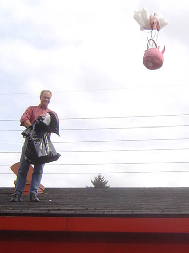 Egg Drop 03