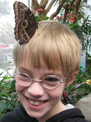 Butterfly Brock