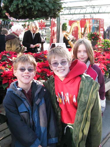 Poinsettias at Swansons