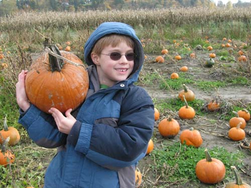 Swan's Pumpkin Farm Dane