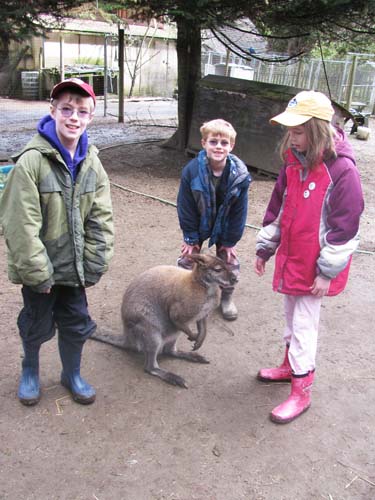 Kangaroo Farm G-Pod
