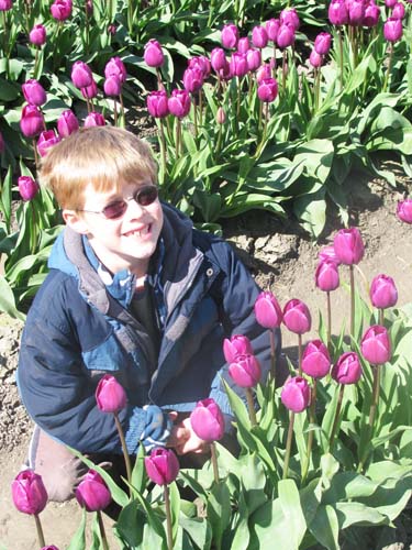 Skagit Valley Tulip Festival Dane