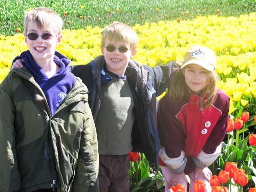 Skagit Valley Tulip Festival G-Pod 01