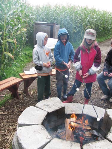 Pumpkin Patch Smores