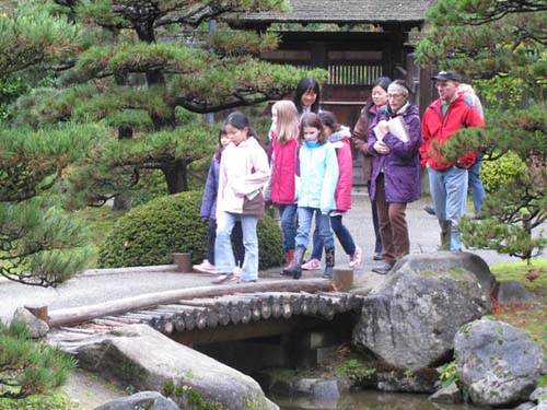 Japanese Garden Maddy