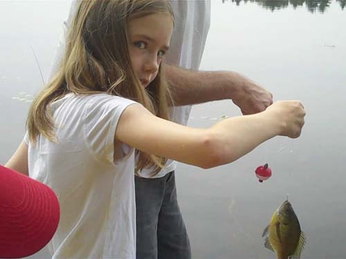 Maddy Fish