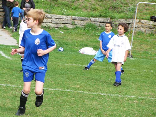 Sharks Dane 03