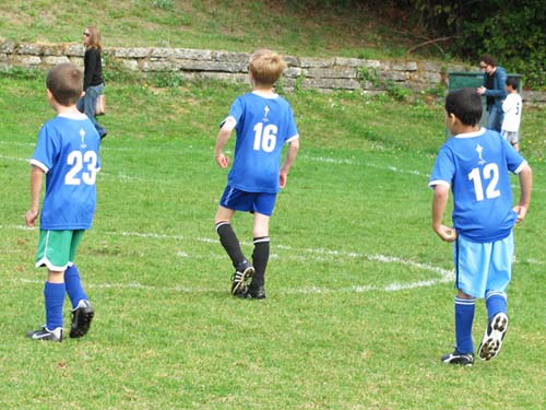 Sharks Dane 04