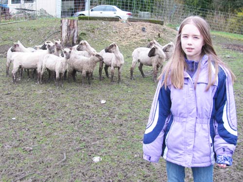 Maddy and Sheep
