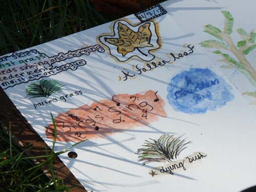 Islandwood Journal 03