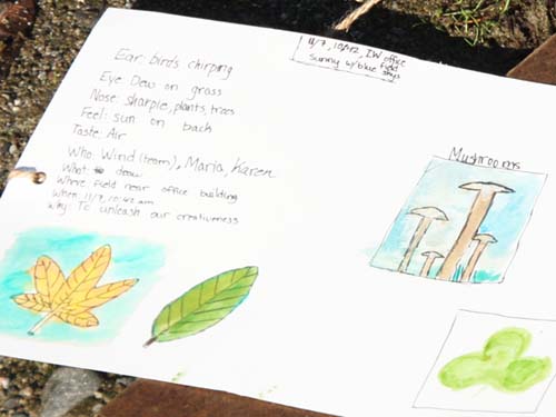 Islandwood Journal 01