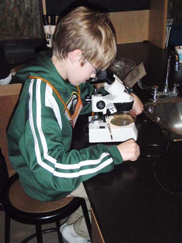 Islandwood Macrobiotic Brock