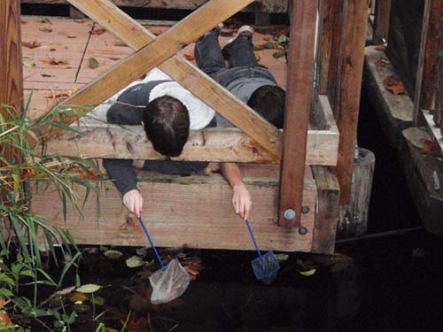 Islandwood Pond Team Rain