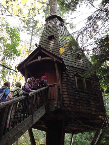 Islandwood Treehouse