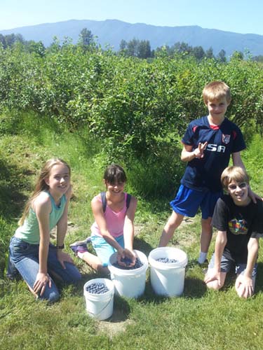 Blueberries, G-Pod, Aliya